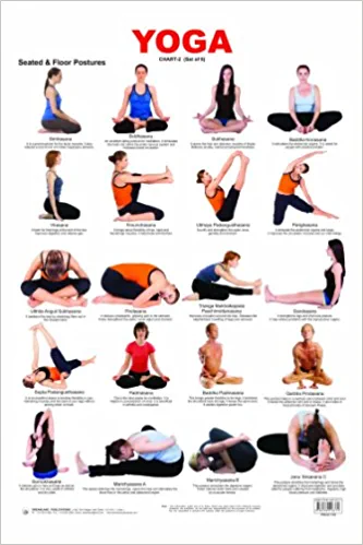Yoga Asanas Chart Book: lllustrated Yoga Pose Chart with 60 Poses (aka  Postures, Asanas, Positions) - Pose Names in Sanskrit and English - Great  for ... 6 Small 11x17